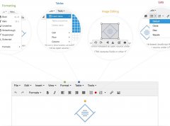 TinyMCE v4.5.0 可视化HTML编辑器