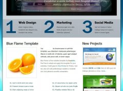 Blueflame项目服务动态网页模板 HTML网页模版 欧美风格 免费模版下载