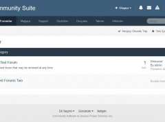 IPS COMMUNITY SUITE 4.3.6 国外著名商业论坛破解版