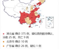 全国新型冠状病毒(2019-nCoV)感染的肺炎疫情实时分布图HTML网站源码
