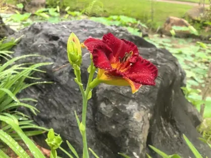 微信支付接口、官方个人免签支付接口YunGouOS个人支付接口 1.1.13 版: 新增微信刷脸支付