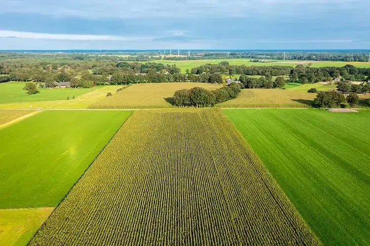 市场营销和客户服务是CRM的支柱功能。（    ）把市场营销和客户服务连接起来，集成整个企业的客户信息会使企业从部门化的客户联络提高到与客户协调一致的高度。