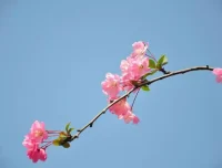 富文本编辑器CKEditor 4.16.0 发布