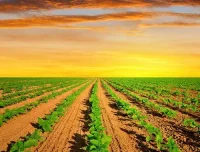 富文本编辑器CKEditor 4.16.0 发布