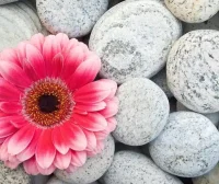 JAVA- 内部类及匿名内部类