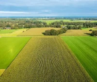 Perl 官方宣布 Perl 7 计划