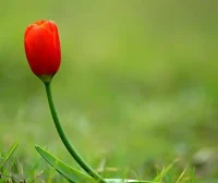 Spark- Spark从SFTP中读取zip压缩文件数据做计算