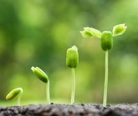 开源 Web 应用服务器:Apache Tomcat 10.0.0-M1