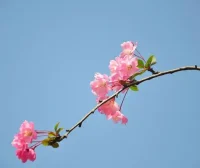 高性能架构设计总结