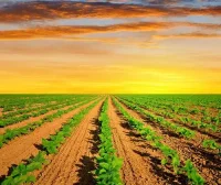 浏览器中的深度学习框架：Paddle.js 1.0