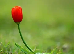 ERROR- 开发常见error