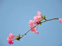 企业级 UI 设计语言Ant Design 4.0.4