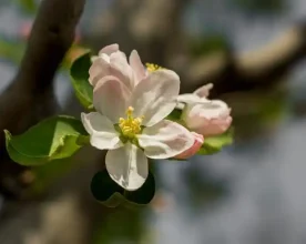 广州市数字经济高质量发展规划