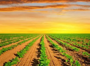 富文本编辑器CKEditor 4.16.0 发布