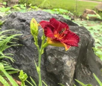 TensorFlow 2.0 发布