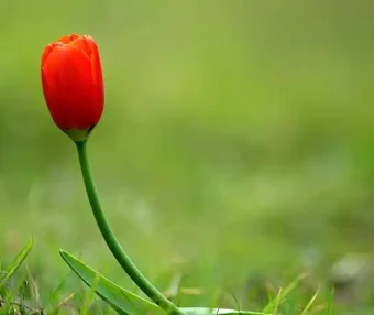 Spark- Spark从SFTP中读取zip压缩文件数据做计算