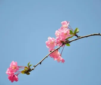 高性能架构设计总结