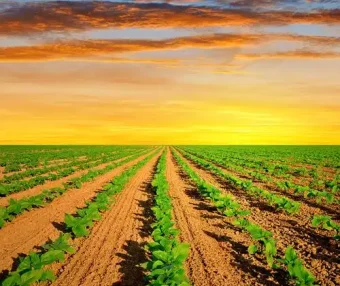 浏览器中的深度学习框架：Paddle.js 1.0