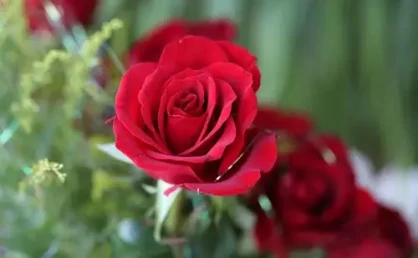 Web 前端框架：Angular 10.0.0-rc.6