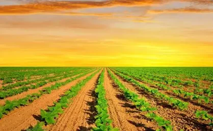 简单易用的静态站点生成器Jekyll 4.0.0 正式发布