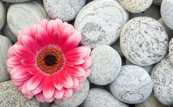 跨语言静态代码自动分析工具:PMD 6.24.0