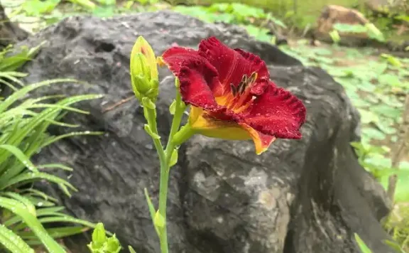 Hive- 大数据仓库Hive