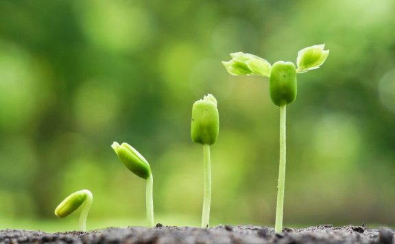 Linux学习之路(五)压缩命令