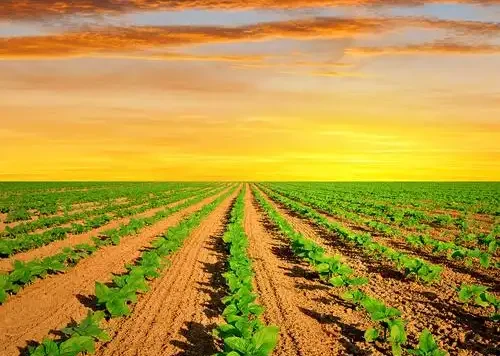 Storm- Storm作业提交运行流程