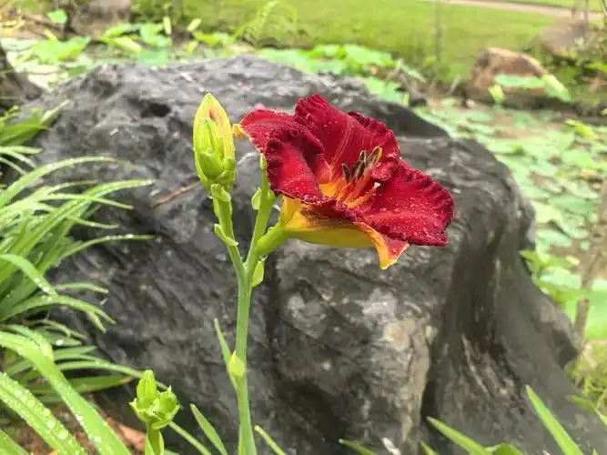 以下有关软件测试的说法中正确的是（      ）。